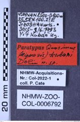 Etikette zu Quasimus kubani (Schimmel & Tarnawski, 2009) (NHMW-ZOO-COL-0006792)